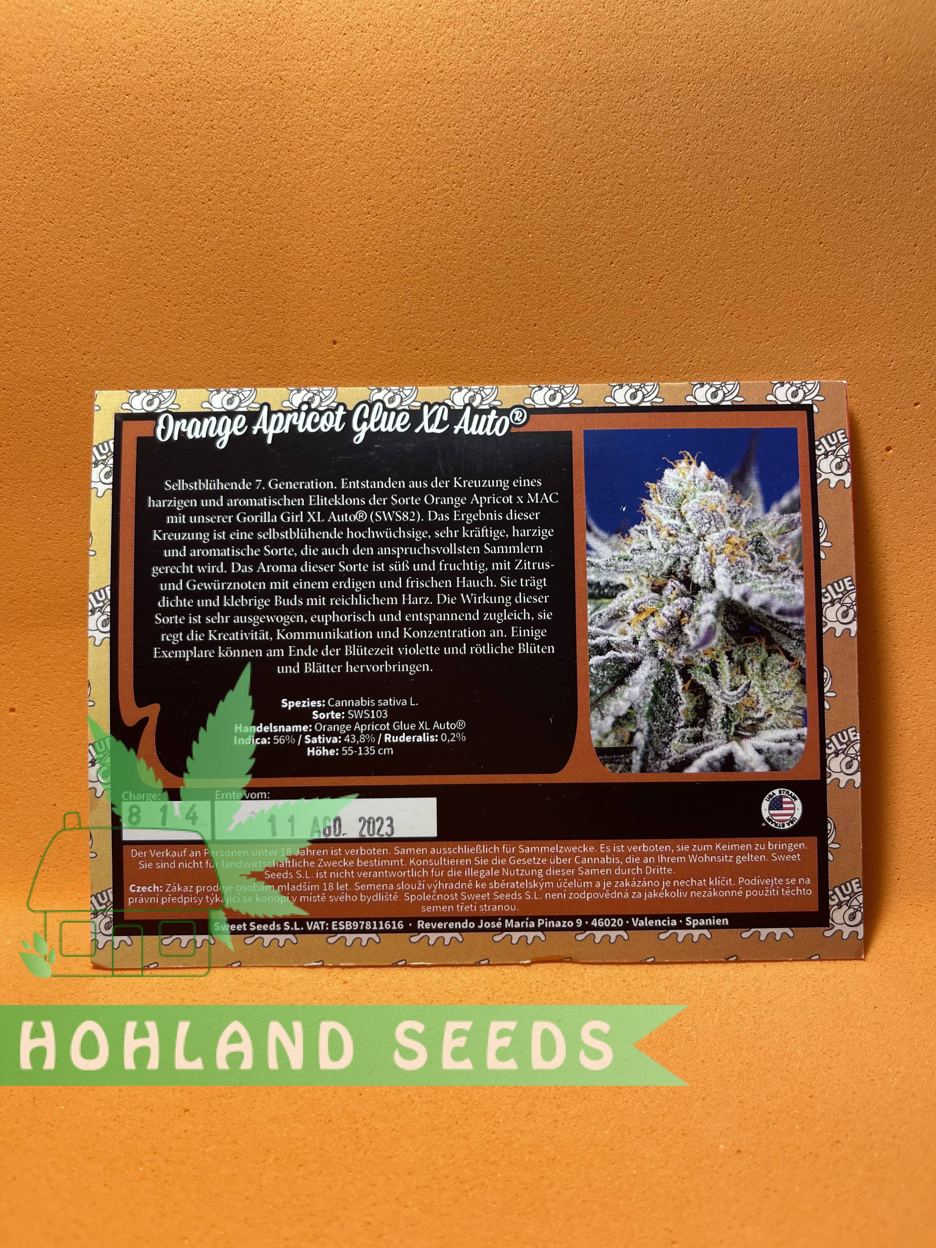 Orange Apricote Glue XL Auto Orange Apricote Glue XL Auto